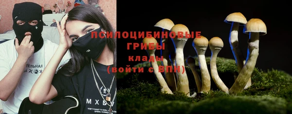 стаф Елабуга