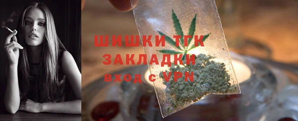хмурый Ельня