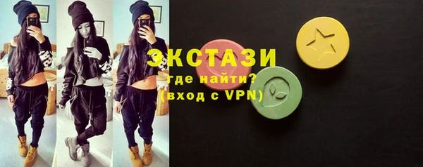 хмурый Ельня