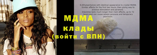 хмурый Ельня