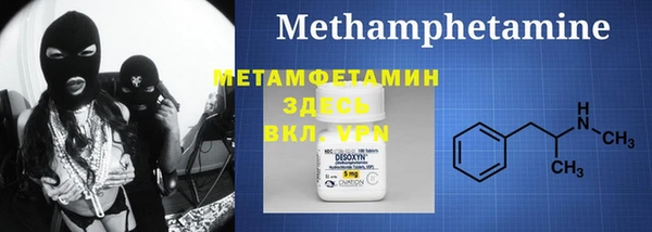 хмурый Ельня
