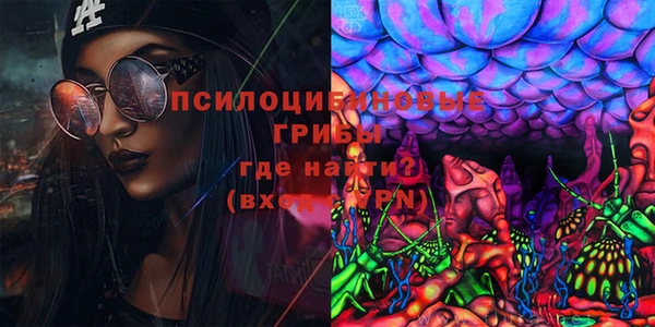 скорость Дмитриев