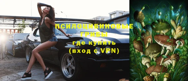 МДПВ Елизово