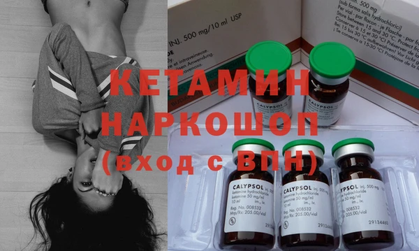 хмурый Ельня