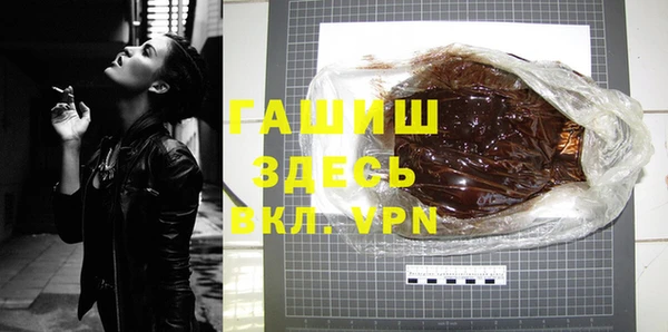 хмурый Ельня