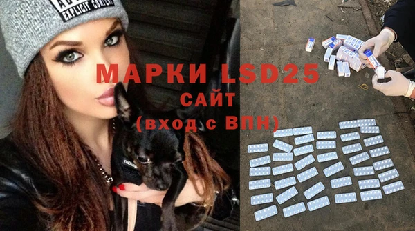 хмурый Ельня