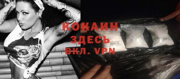 хмурый Ельня