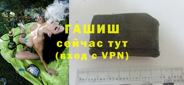 хмурый Ельня
