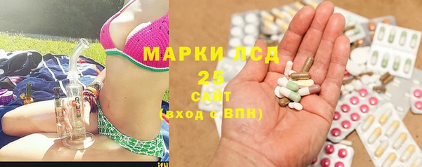 стаф Елабуга