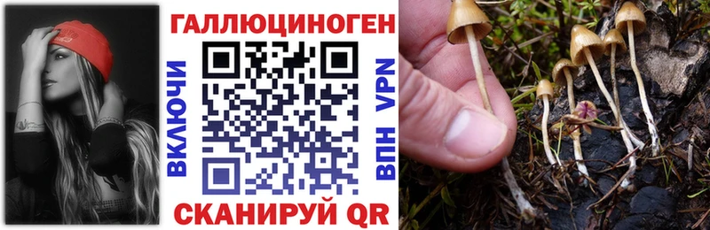 Псилоцибиновые грибы MAGIC MUSHROOMS  Верхняя Салда 